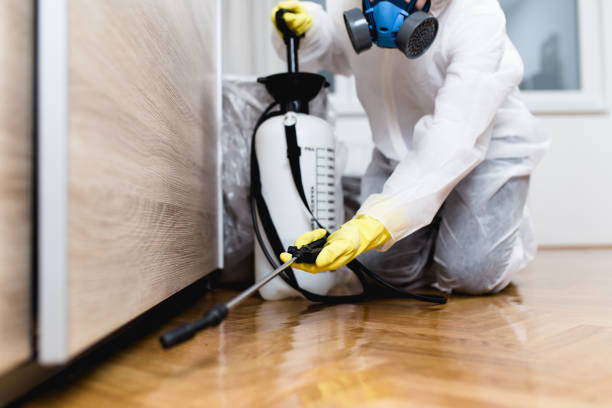Best Flea Control Services  in Pamplico, SC