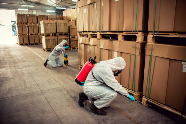 Best Best Pest Control Companies  in Pamplico, SC