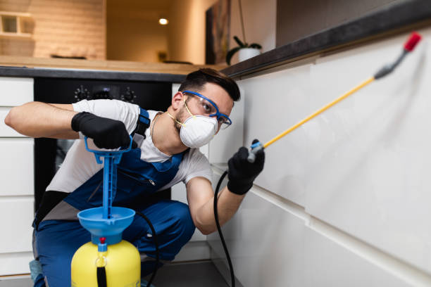 Best Commercial Pest Control Services  in Pamplico, SC