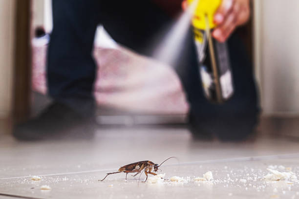 Best Mosquito Control Services  in Pamplico, SC