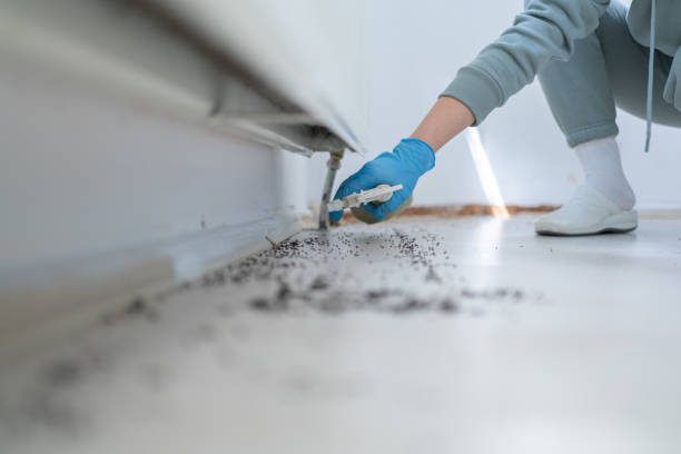 Pest Prevention Services in Pamplico, SC